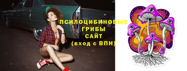МДПВ Киреевск