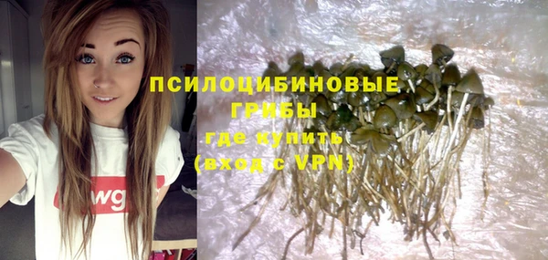 МДПВ Киреевск