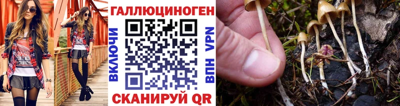 Галлюциногенные грибы Cubensis  Медвежьегорск 